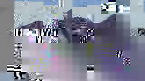 781K views · 10K reactions | Tomorrow, 20 stallions are being...