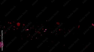 Flying Rose petals over black background. Red Flowers overlay, green screen, alpha effect -4k Seamless Loop