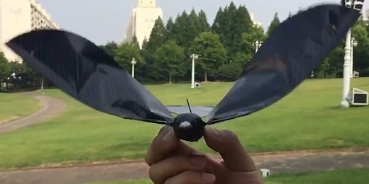 This drone looks and flies just like a bird