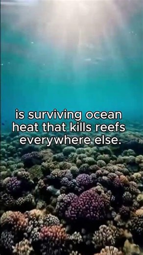 American Samoa's BIGGEST SECRET #geographyfacts #travel #travelfacts