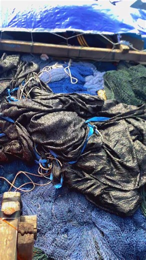 Exploring the Deep Sea with Purse seines and Fishermen