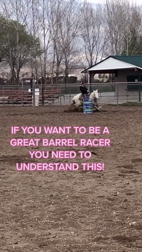 theequineeducator on TikTok