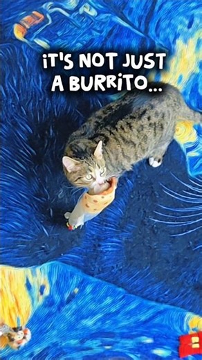 his emotional support burrito 🌯 #cat
