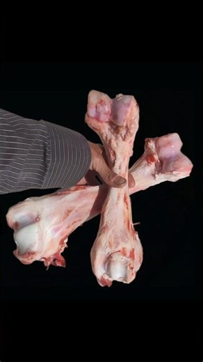 Turning Cow Bone into a Knife Handle | The Skill Builder | bigstackd