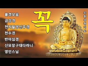 하루 1번만 들어라! 대운이 들어오고, 만사대길하는 불경 🙏 불경모음,금강경,천지팔양신주경,천수경,반야심경, 신묘장구대다라니 - 영인스님