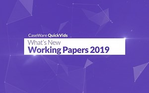 【CaseWare快思维】Working Papers 审计工作底稿软件 2019 新功能