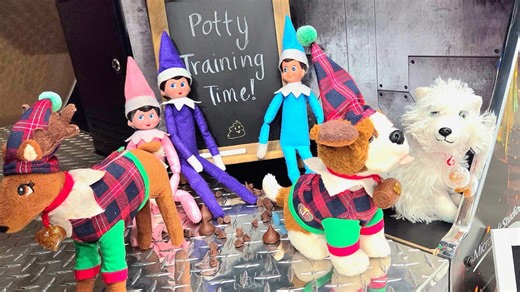 Elf on the Shelf pets are back! Potty training time! Day 2