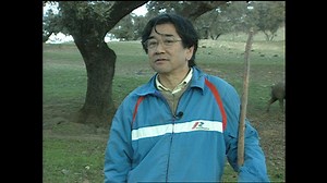 何だこの番組は？と言われて早や500回！大感謝スペシャル | 世界ウルルン滞在記 | MBS動画イズムで配信中