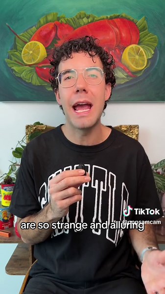 Exploring Selena Gomez's Musical Evolution