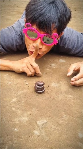 Don't go anywhere, watch until the end to see how these millipedes wake up #millipede