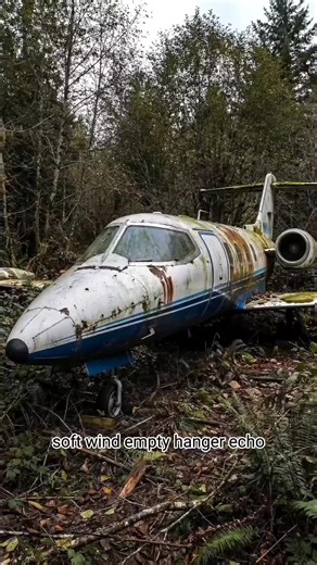 From Abandoned to Extraordinary – Rebuilding a Private Jet Dream” #usa #carrestoration #usatiktok #life #asmr