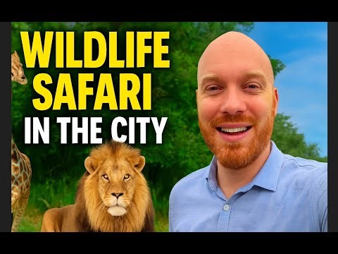 Wild Walk in Nairobi Safari Safari Walk: Kenya's Urban Wildlife Experience