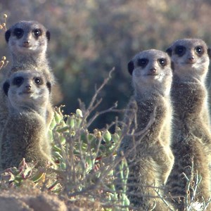 12K views · 79 reactions | Hilft, den Fokus auf der Strasse zu behalten: Head-up-Display. #headupdisplay #vwswitzerland | Volkswagen | Facebook