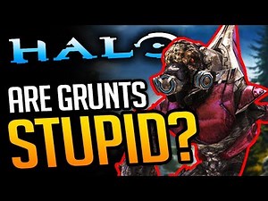 Are Halo's Grunts ACTUALLY Stupid? (or secretly smart?)