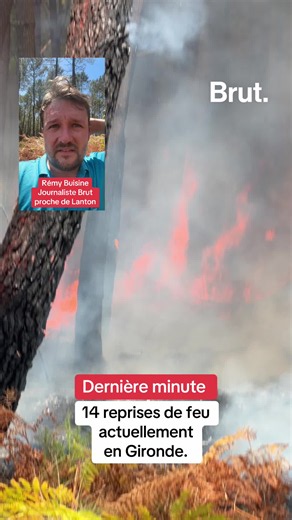 Plusieurs reprises de feu actuellement en Gironde. Les dernières infos avec @Remy Buisine sur place.
