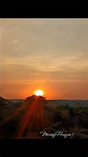 1 hour of sunset in 15 seconds ⏳#timelapse #sunset #nature #youtubeshorts #shorts