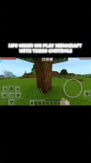 life when we play Minecraft with these controls.