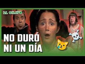 El Chavo del 8: El nuevo gato de Quico