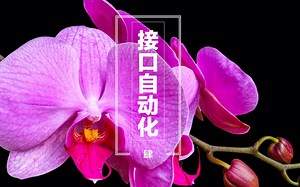 Postman自动化接口 API 测试