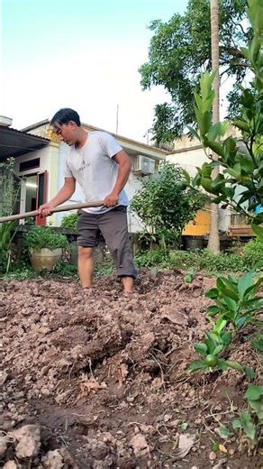 🌾 Về Quê Ninh Bình – Một Ngày Làm Nông Dân Thật Sự 🌾