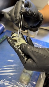 1.5M views · 6.6K reactions | Would you eat these little fishies? 路‍♂️ Greenbone with a shoal of Whitebait and Beurre Blanc by chefvaughanmabee at @amisfieldrestaurant 勞 | Foodporn | Facebook