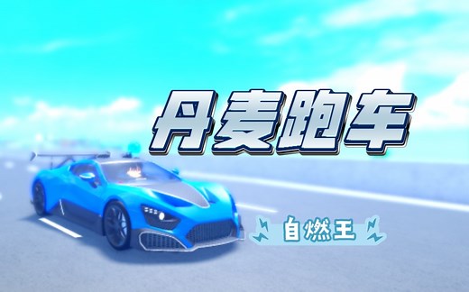 roblox （CDT） 丹麦跑车！？