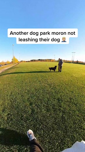 Pet Correctors for Responsible Dog Owners