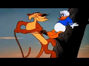 Donald Duck cartoons compilation 3 full episodes