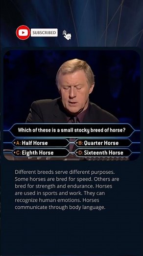Which Horse Breed Is Small And Strong? #quiz #millionaire #trivia #didyouknow #horse #animals #tv