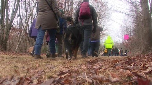 Hikers embrace winter chills for annual New Year's trek at Beltzville State Park