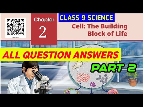 Class 9 Science | Exploration | Chapter 2 | Question Answers | Part 2
