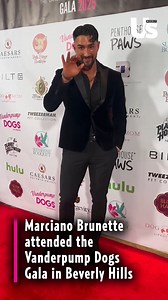 Marciano Brunette hit the #Vanderpump Dogs Gala in Beverly Hills, showing support for Lisa Vanderpump’s mission to help pups in need. 🐾💖 | Us Weekly