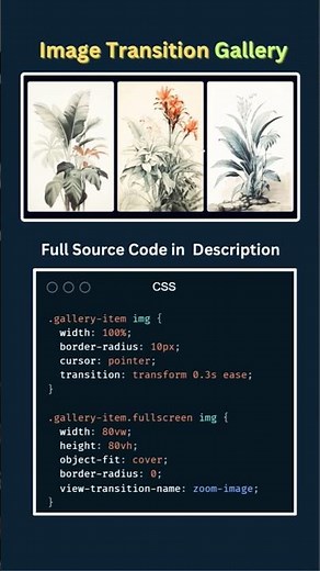 🔥 Image Transition Gallery Using HTML, CSS & JavaScript #coding