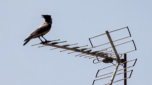 'Pulsed electromagnetic energy' the most likely cause of legitimate Havana syndrome, expert panel concludes