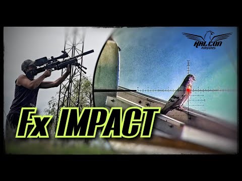Hunting pigeons at short and long distances with PCP