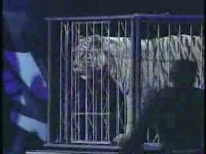 Rick Thomas - The Illusionary Magic of Rick Thomas (Promo)