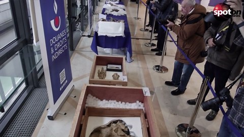 France returns 'Tarbosaurus bataar' skeleton to Mongolia