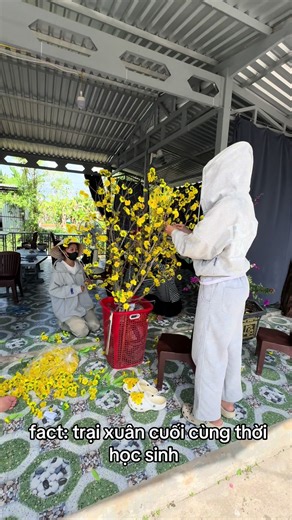 #tet2026 #hocsinhcap3 #tn3 #xuhuong