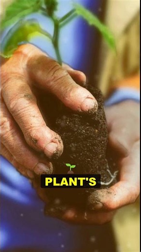 Why Some Plants Refuse to Bloom