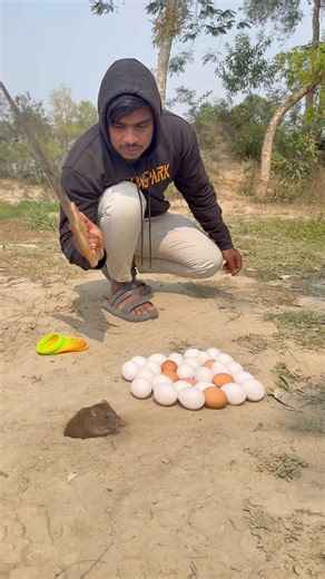Rat Catching Trap #mousetrap #villagelife