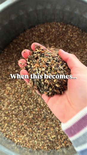 Winter Sowing Tips for Native Seed Success