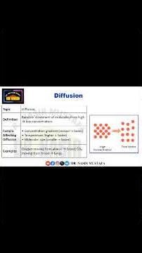 ⭐ Passive Transport