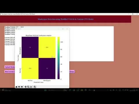 Monkeypox Detection using Modified VGG16 & Custom CNN Model
