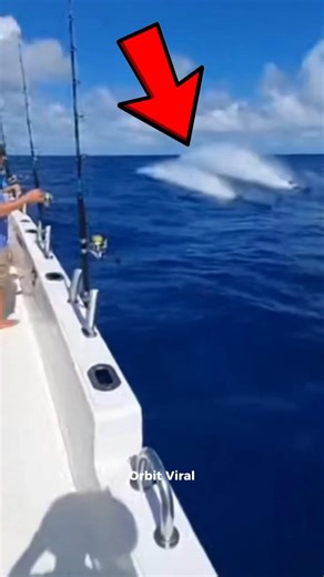 Top 5 FASTEST Animals You Won’t Believe! 🏃💨 (Number 1 is Beyond Belief) #Shorts