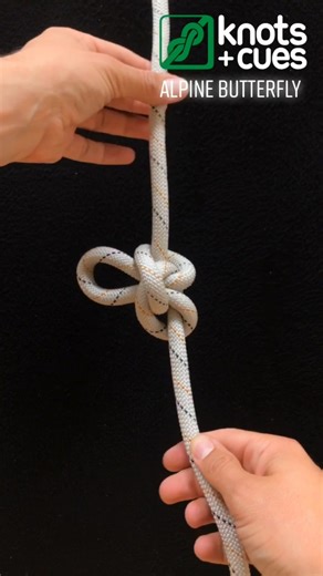 Mastering the Alpine Butterfly Knot: A Comprehensive Guide