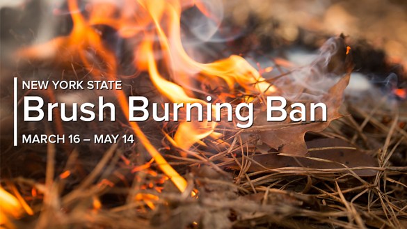 New York State burn ban goes into effect in mid-March