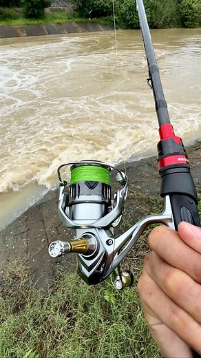 2.7M views · 10K reactions | Shimano Nasci 2500SHG | ฟิชชิ่งสตอรี่ | Facebook