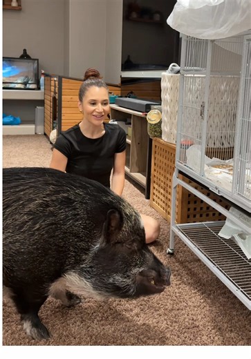 Merlin the Pig Learns to Fetch His Best Friend