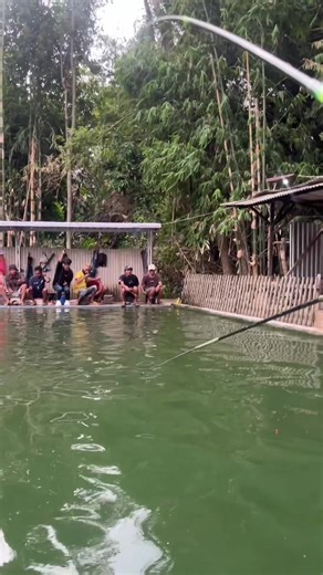 Panduan Mancing: Tips dan Trik untuk Mullet Fishing