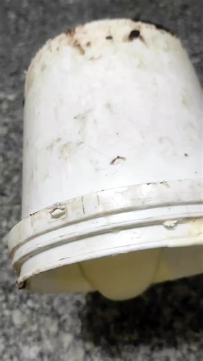 O2..Cafe☕️☕️ on TikTok